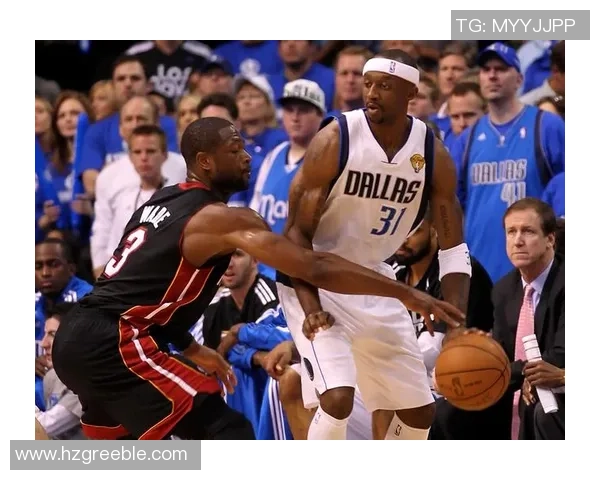 热火与小牛的巅峰对决NBA总决赛精彩瞬间回顾与分析